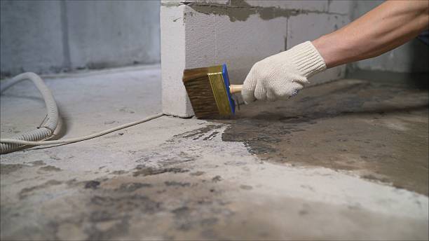 SJ Waterproofing Pros Waterproofing coverage map for Sunbright, TN and surrounding area